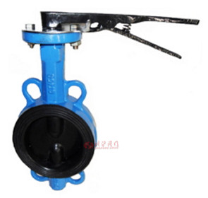 D71J對夾式襯膠蝶閥