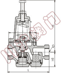 直接作用薄膜式減壓閥 ,結(jié)構(gòu)圖