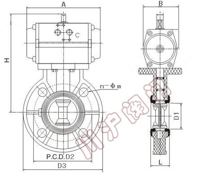 ������ϵ��y �Y���D