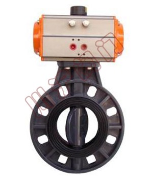 ������ϵ��y