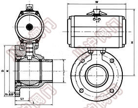 �r���������y �Y���D