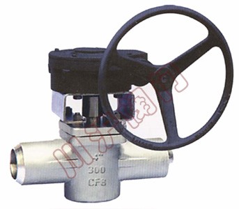 ���˳в庸����ʽ�����y